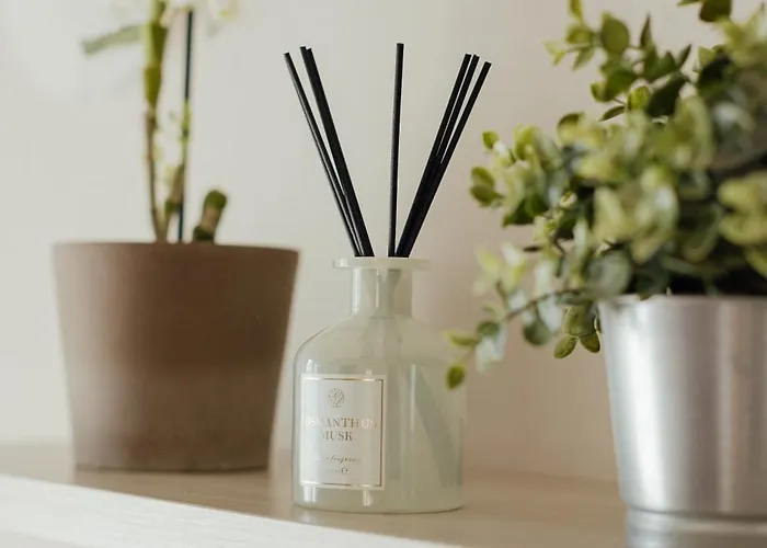 Acacia 아파트 이몰라